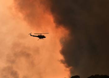 New South Wales declares 2nd state of emergency as extreme warmth, bushfires continue