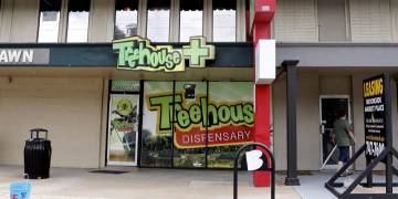 Canadian studio wins ‘Treehouse’ logo copyright dispute against Oklahoma cannabis dispensary