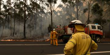Australia uses brief respite from bushfires to prepare for next onslaught