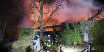 Fire at German zoo kills large number of animals, authorities say