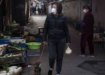 Animal lovers in virus-stricken Wuhan are breaking into homes to save pets