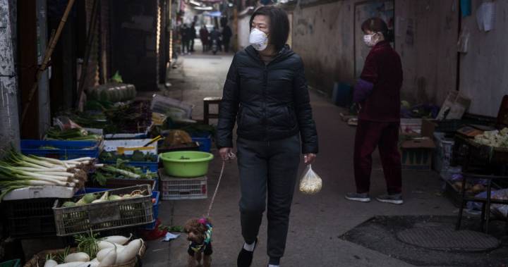 Animal lovers in virus-stricken Wuhan are breaking into homes to save pets