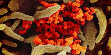 New Brunswick student trip to Italy still on despite coronavirus outbreak