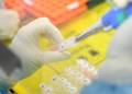 Officials say currently ‘no evidence’ that pets can be infected with COVID-19