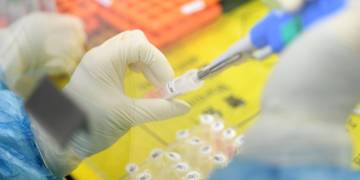 Officials say currently ‘no evidence’ that pets can be infected with COVID-19