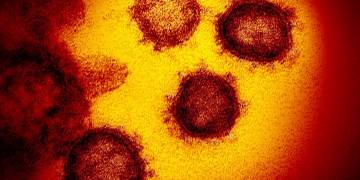 Mapping out the coronavirus: Here’s which countries have reported cases so far