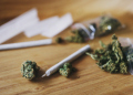 Yay Sports activities! New NFL CBA Proposal Precludes Players From Substance And Sativa Smoke Suspension