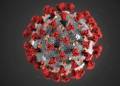 Edmonton Catholic, public schools cancel more field trips amid coronavirus outbreak