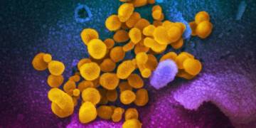 COVID-19: Canadian scientists at forefront of global response to coronavirus