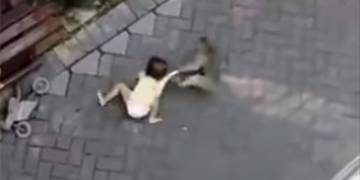 Monkey riding tiny bicycle attacks toddler in Indonesia