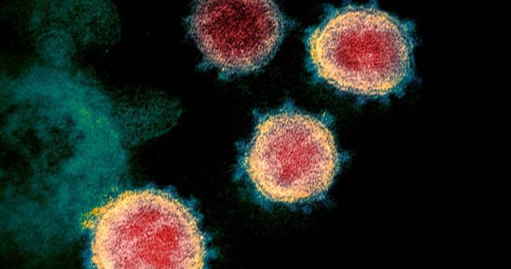 First at-home saliva test to detect coronavirus authorized by U.S. FDA