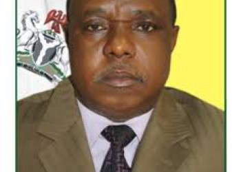 Diversification is key to improved income, sustainable growth - RMAFC – Daily Trust