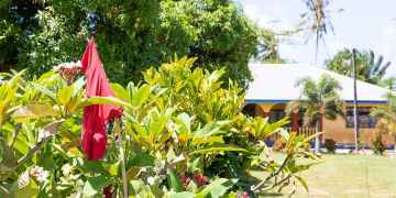 Samoan government takes drastic measures to fight measles outbreak