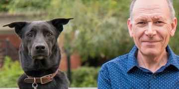 For the love of canine: How our canine companions evolved for affection
