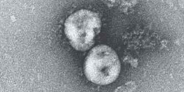 New coronavirus looks set to cause a pandemic  how do we control it?