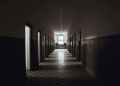 The flawed experiment that destroyed the world's faith in psychiatry