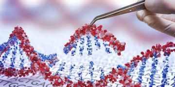 CRISPR cancer trial finds that gene-edited immune cells are safe