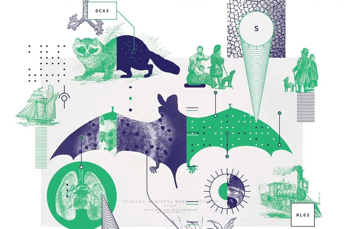 What four coronaviruses from history can tell us about covid-19
