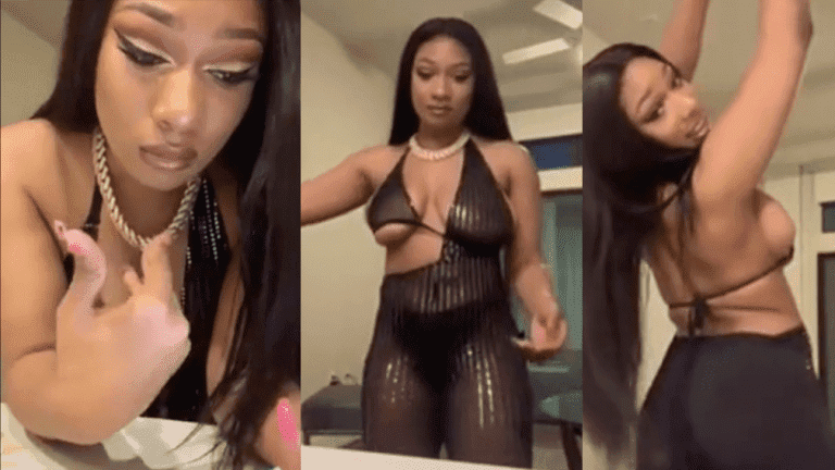 Megan Thee Stallion Suffers Nip Slip While Twerking On Instagram Live (Video)