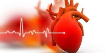 heart disease - reduce your risk with a plant-bsed diet | TheHealthSite.com