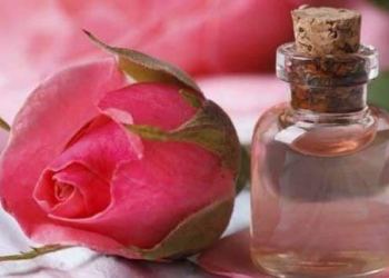 Scent of rose improves quality of learning and sleep: Study